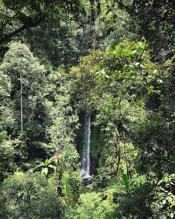 174565DC 4BCE 49E2 94AA 67BFABE6C429