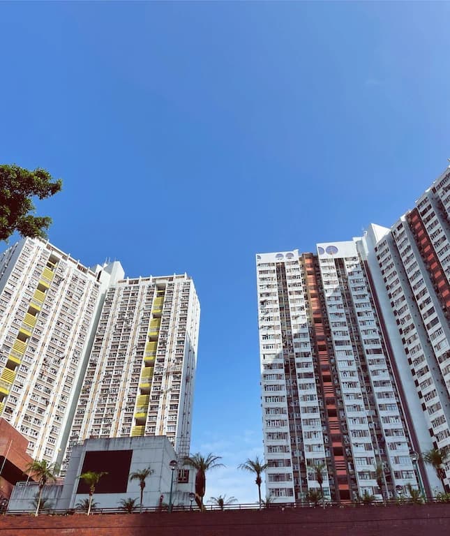 3EF07F77 97BA 46C1 9B85 829923B38ABD