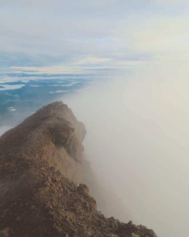 89A82905 02F5 49CF BE97 3120D613778F